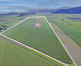 Rural / Farming commercial property sold at 297 Russell Road Gordonvale QLD 4865