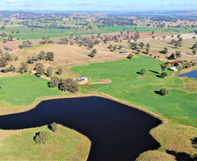 Rural / Farming commercial property sold at 177 Toonga Settlement Road Tarcutta NSW 2652