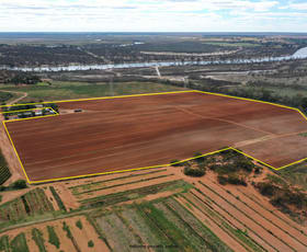 Rural / Farming commercial property sold at 3 Tickell Lane Red Cliffs VIC 3496