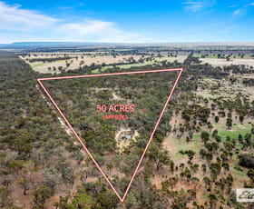 Rural / Farming commercial property sold at Morrl Morrl Forest Road Wallaloo East VIC 3387