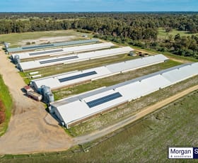 Rural / Farming commercial property for sale at Serpentine WA 6125
