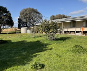 Rural / Farming commercial property sold at 252 Michael Road St Arnaud North VIC 3477
