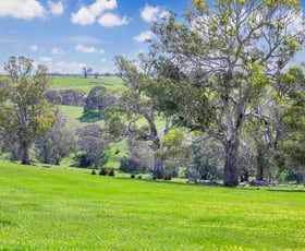 Rural / Farming commercial property sold at 4970 Coleraine Edenhope Road Harrow VIC 3317