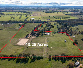 Rural / Farming commercial property sold at 302 Kennedy Lane Lurg VIC 3673