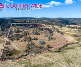 Rural / Farming commercial property sold at 241 Coopers Road Red Range NSW 2370