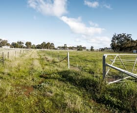 Rural / Farming commercial property sold at . Sandhurst Street Raywood VIC 3570