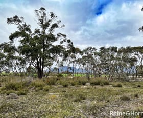 Rural / Farming commercial property sold at Lot 6 Chester Pass Road Amelup WA 6338