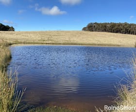 Rural / Farming commercial property sold at 625 Mullins Creek Road Gurrundah NSW 2581