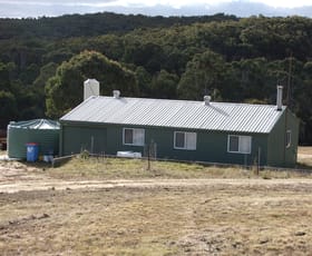 Rural / Farming commercial property sold at 1568 Triangle Flat Road Triangle Flat NSW 2795