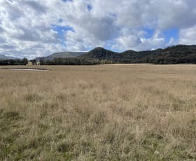 Rural / Farming commercial property sold at 3259 Bylong Valley Way Kerrabee NSW 2328