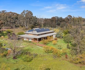 Rural / Farming commercial property sold at 64 Sayers Lane Rushworth VIC 3612