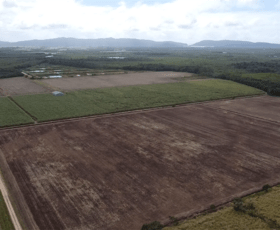 Rural / Farming commercial property for sale at 159 Eden Road Cowley QLD 4871