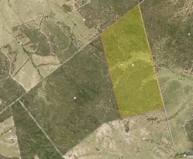 Rural / Farming commercial property for sale at Lot 16, 2111 Carlisle Road Fifield NSW 2875