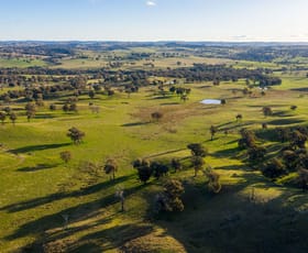 Rural / Farming commercial property sold at 5995 Hume Highway Tarcutta NSW 2652