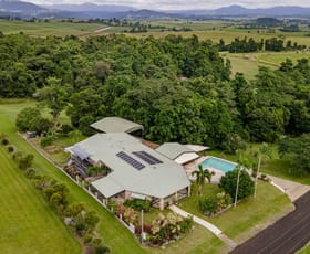 Rural / Farming commercial property for sale at 10 Marco Close Pin Gin Hill QLD 4860