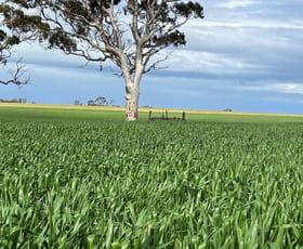 Rural / Farming commercial property sold at . 'Corrylynne' Dowerin WA 6461