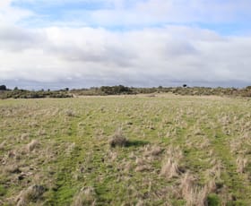 Rural / Farming commercial property sold at . Cockerills Road Dreeite VIC 3249