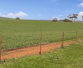 Rural / Farming commercial property sold at 'Allanbie' Pipeline Road Nantawarra SA 5550