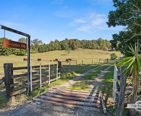 Rural / Farming commercial property sold at 491 Nobbys Creek Road Nobbys Creek NSW 2484