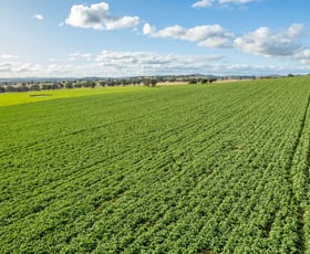 Rural / Farming commercial property sold at Woodstock NSW 2793