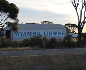 Rural / Farming commercial property sold at Lot 566 Coolgardie Esperance Highway Salmon Gums WA 6445