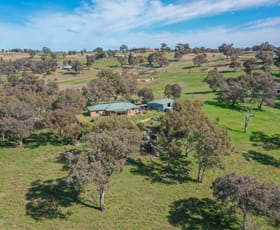 Rural / Farming commercial property sold at Young NSW 2594
