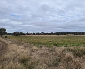 Rural / Farming commercial property sold at Irongate Road Pittsworth QLD 4356