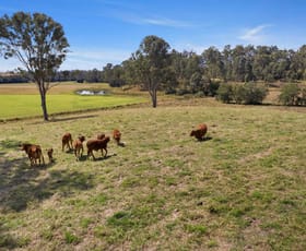 Rural / Farming commercial property sold at 30 Diamondfield Road Amamoor QLD 4570