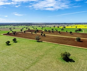 Rural / Farming commercial property sold at 106R Wellington Road Dubbo NSW 2830