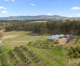 Rural / Farming commercial property sold at 727 Old North Road Rothbury NSW 2320
