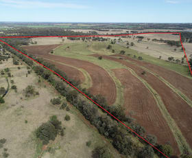 Rural / Farming commercial property sold at 622 Old Rosemount Road Quinalow QLD 4403