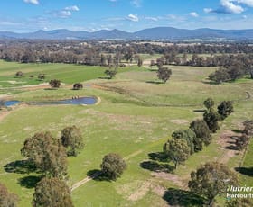 Rural / Farming commercial property sold at 72 Warnock Road Swanpool VIC 3673