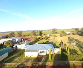 Rural / Farming commercial property sold at 511 The Troffs Road Fifield NSW 2875