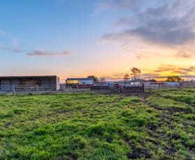 Rural / Farming commercial property sold at 84 Borambil Road Quirindi NSW 2343