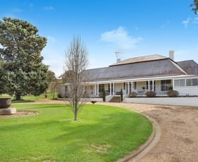 Rural / Farming commercial property sold at 5902 Mitchell Highway Molong NSW 2866
