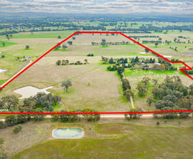 Rural / Farming commercial property sold at 29 Nioka Rd Jindera NSW 2642