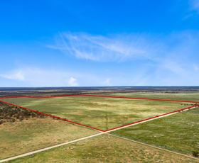 Rural / Farming commercial property sold at Lot 217 Bower Boundary Road Steinfeld SA 5356