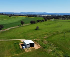 Rural / Farming commercial property sold at 506 Binni Creek Road Cowra NSW 2794