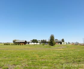 Rural / Farming commercial property for sale at 171 Sandalwood Avenue Dalby QLD 4405