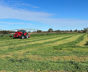 Rural / Farming commercial property for sale at 9653 Dukes Highway Tintinara SA 5266
