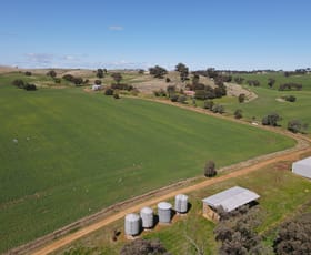 Rural / Farming commercial property sold at 306 Moola Road Canowindra NSW 2804