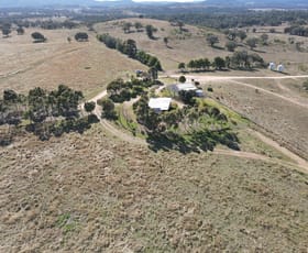 Rural / Farming commercial property sold at 'Blue Meadows" Jobs Lane Parkes NSW 2870