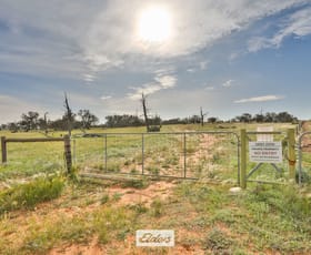 Rural / Farming commercial property sold at Tareena Station, Renmark Road Wentworth NSW 2648