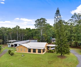 Rural / Farming commercial property for sale at 427 Cooloolabin Rd Cooloolabin QLD 4560