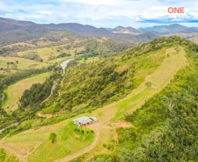 Rural / Farming commercial property for sale at 3103 Nowendoc Road Caffreys Flat NSW 2424