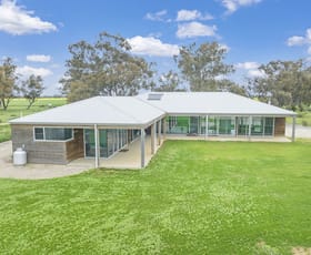 Rural / Farming commercial property sold at 1297 Murray Valley Highway Echuca West VIC 3564