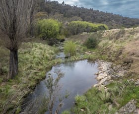 Rural / Farming commercial property sold at 172 Back Arm Road, Middle Arm Via Goulburn NSW 2580