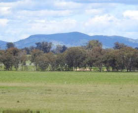 Rural / Farming commercial property for sale at Gellibrand Tonks Road Violet Town VIC 3669