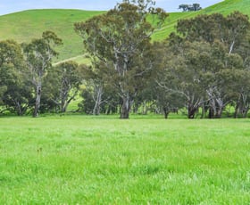 Rural / Farming commercial property sold at Green Valley 70 Prices Road Tarcutta NSW 2652