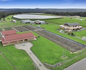 Rural / Farming commercial property for sale at 133 Aberfoyle Road Wedderburn NSW 2560